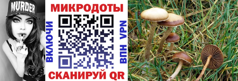 цены   ОМГ ОМГ ссылки  Псилоцибиновые грибы Psilocybe  Орлов 